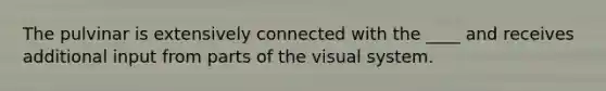 The pulvinar is extensively connected with the ____ and receives additional input from parts of the visual system.