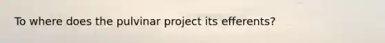 To where does the pulvinar project its efferents?