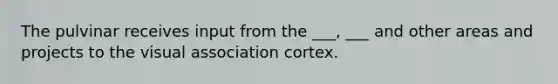 The pulvinar receives input from the ___, ___ and other areas and projects to the visual association cortex.