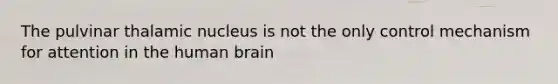 The pulvinar thalamic nucleus is not the only control mechanism for attention in the human brain