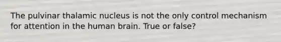 The pulvinar thalamic nucleus is not the only control mechanism for attention in the human brain. True or false?