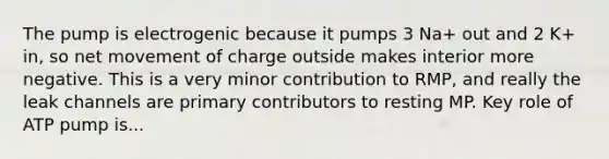 The pump is electrogenic because it pumps 3 Na+ out and 2 K+ in, so net movement of charge outside makes interior more negative. This is a very minor contribution to RMP, and really the leak channels are primary contributors to resting MP. Key role of ATP pump is...