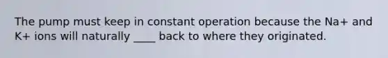 The pump must keep in constant operation because the Na+ and K+ ions will naturally ____ back to where they originated.
