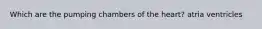 Which are the pumping chambers of the heart? atria ventricles
