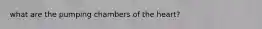 what are the pumping chambers of the heart?