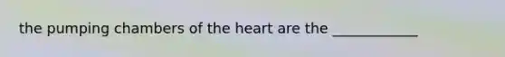 the pumping chambers of the heart are the ____________