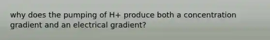 why does the pumping of H+ produce both a concentration gradient and an electrical gradient?