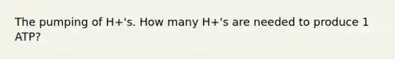 The pumping of H+'s. How many H+'s are needed to produce 1 ATP?