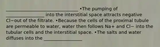 ________________________________ •The pumping of _________________ into the interstitial space attracts negative Cl−out of the filtrate. •Because the cells of the proximal tubule are permeable to water, water then follows Na+ and Cl− into the tubular cells and the interstitial space. •The salts and water diffuses into the _________________