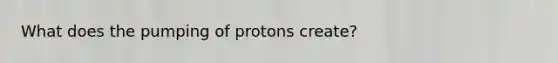 What does the pumping of protons create?