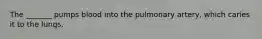 The _______ pumps blood into the pulmonary artery, which caries it to the lungs.