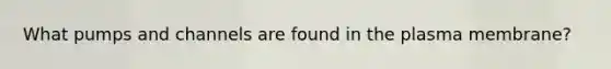 What pumps and channels are found in the plasma membrane?