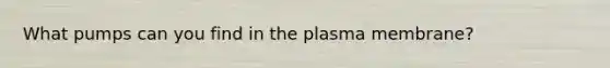 What pumps can you find in the plasma membrane?