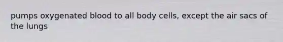 pumps oxygenated blood to all body cells, except the air sacs of the lungs