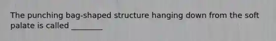 The punching bag-shaped structure hanging down from the soft palate is called ________