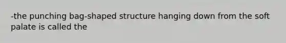 -the punching bag-shaped structure hanging down from the soft palate is called the