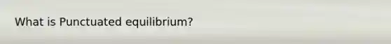 What is Punctuated equilibrium?