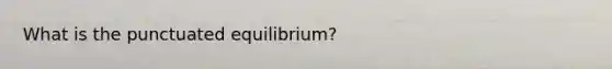 What is the punctuated equilibrium?