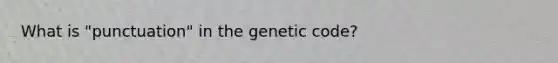 What is "punctuation" in the genetic code?