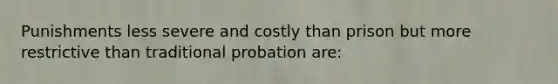 Punishments less severe and costly than prison but more restrictive than traditional probation are: