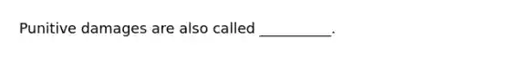 Punitive damages are also called __________.