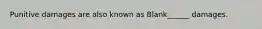 Punitive damages are also known as Blank______ damages.