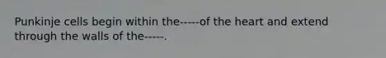 Punkinje cells begin within the-----of the heart and extend through the walls of the-----.