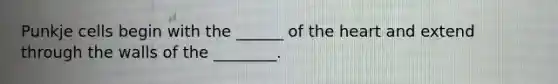 Punkje cells begin with the ______ of the heart and extend through the walls of the ________.