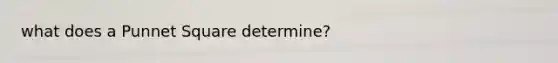 what does a Punnet Square determine?
