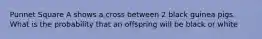 Punnet Square A shows a cross between 2 black guinea pigs. What is the probability that an offspring will be black or white