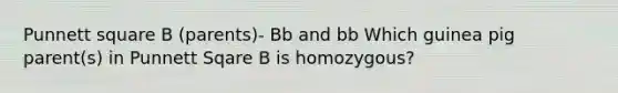 Punnett square B (parents)- Bb and bb Which guinea pig parent(s) in Punnett Sqare B is homozygous?