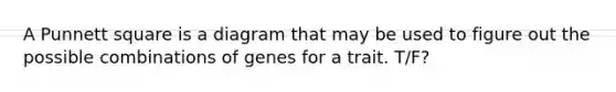 A Punnett square is a diagram that may be used to figure out the possible combinations of genes for a trait. T/F?