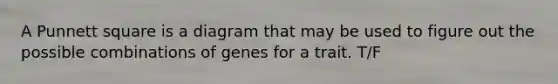 A Punnett square is a diagram that may be used to figure out the possible combinations of genes for a trait. T/F