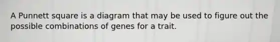 A Punnett square is a diagram that may be used to figure out the possible combinations of genes for a trait.