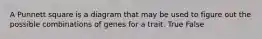 A Punnett square is a diagram that may be used to figure out the possible combinations of genes for a trait. True False