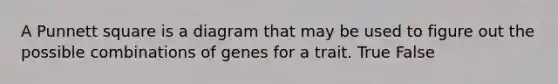 A Punnett square is a diagram that may be used to figure out the possible combinations of genes for a trait. True False