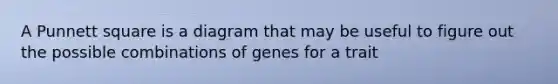 A Punnett square is a diagram that may be useful to figure out the possible combinations of genes for a trait