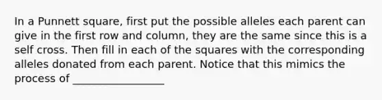 In a Punnett square, first put the possible alleles each parent can give in the first row and column, they are the same since this is a self cross. Then fill in each of the squares with the corresponding alleles donated from each parent. Notice that this mimics the process of _________________