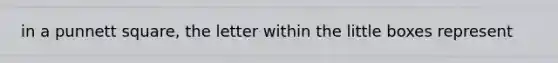 in a punnett square, the letter within the little boxes represent