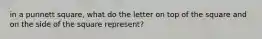 in a punnett square, what do the letter on top of the square and on the side of the square represent?