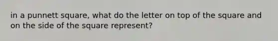 in a punnett square, what do the letter on top of the square and on the side of the square represent?