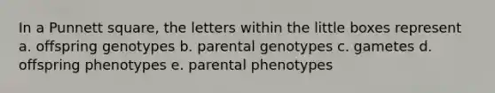 In a Punnett square, the letters within the little boxes represent a. offspring genotypes b. parental genotypes c. gametes d. offspring phenotypes e. parental phenotypes