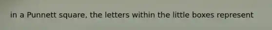 in a Punnett square, the letters within the little boxes represent