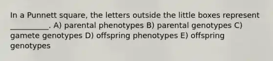 In a Punnett square, the letters outside the little boxes represent __________. A) parental phenotypes B) parental genotypes C) gamete genotypes D) offspring phenotypes E) offspring genotypes