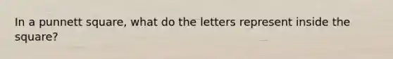 In a punnett square, what do the letters represent inside the square?