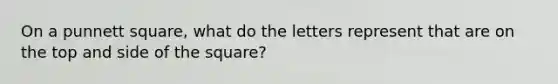 On a punnett square, what do the letters represent that are on the top and side of the square?