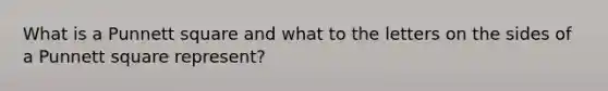 What is a Punnett square and what to the letters on the sides of a Punnett square represent?