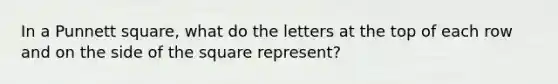 In a Punnett square, what do the letters at the top of each row and on the side of the square represent?