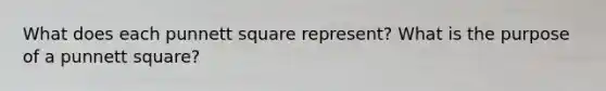 What does each punnett square represent? What is the purpose of a punnett square?