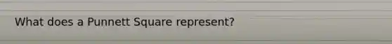 What does a Punnett Square represent?